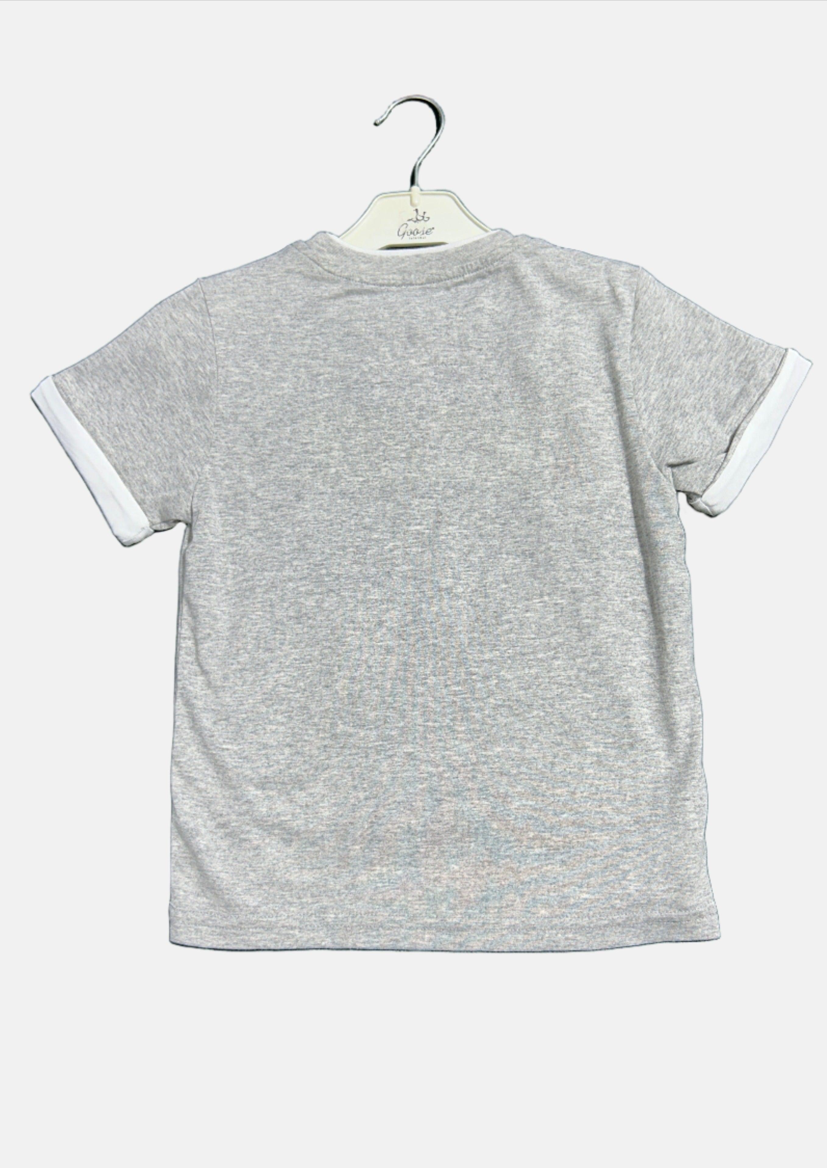 PIXEL GREY BOY T-SHIRT RN SS H116