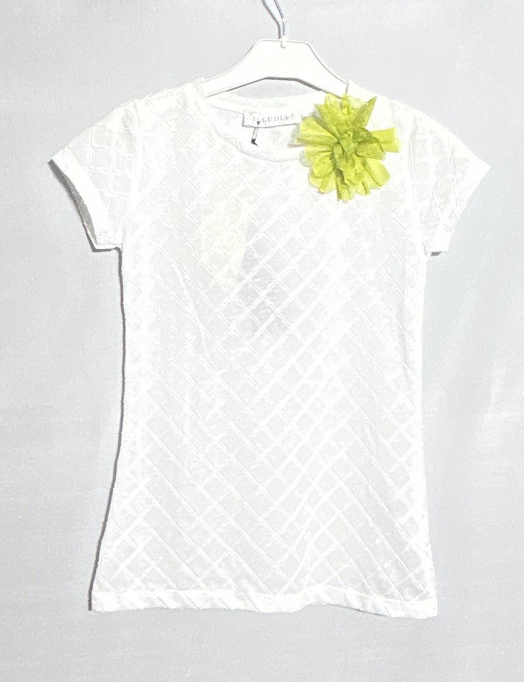 T-SHIRT FILLE ILLUDIA SS 51I2649