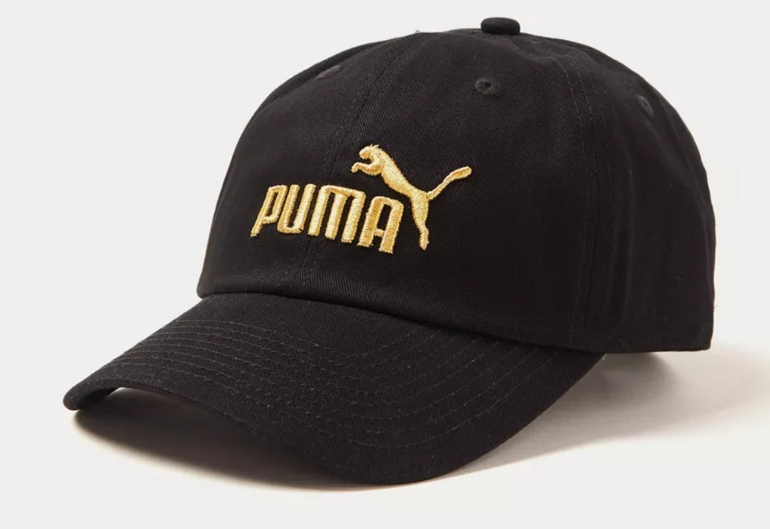 Puma Cap 021688-40